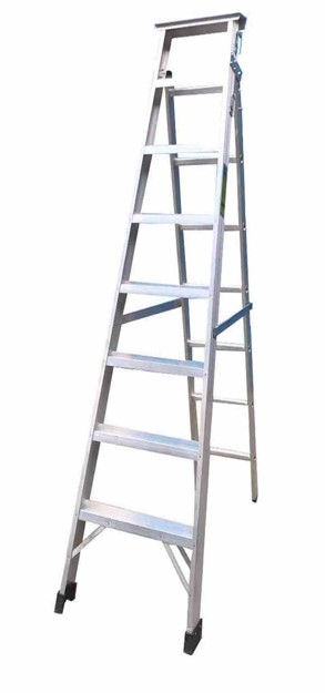 Scaffold Image 2