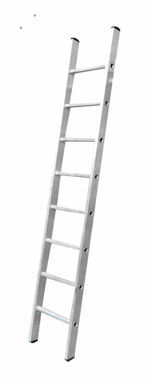 Scaffold Image 2